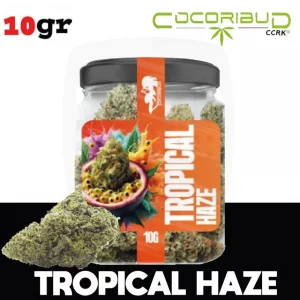 Trim Indoor Premium 8 % (Italie)